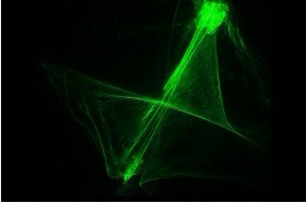 全彩雷射極光燈 3