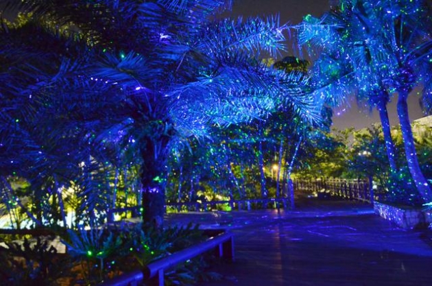 雷射聖誕滿天星 2