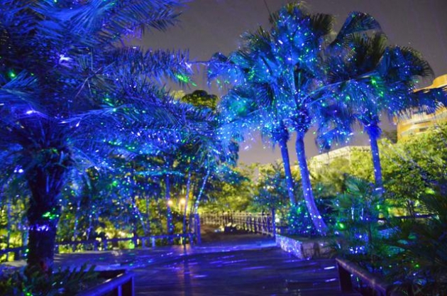 雷射聖誕滿天星 5