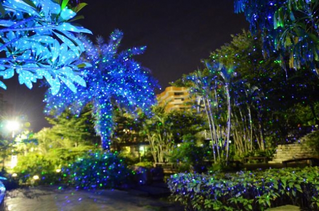 雷射聖誕滿天星 6