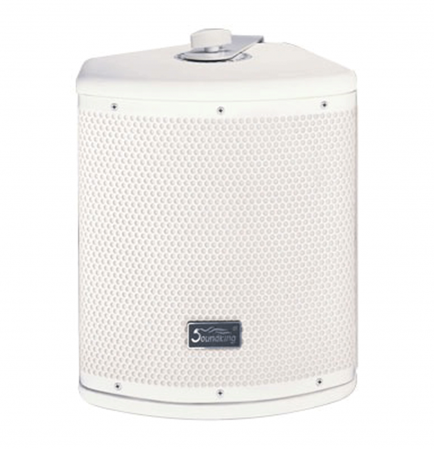 FT Series同軸被動式喇叭 1