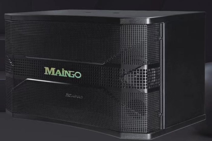 LS-688M PLUS 懸吊式喇叭 1