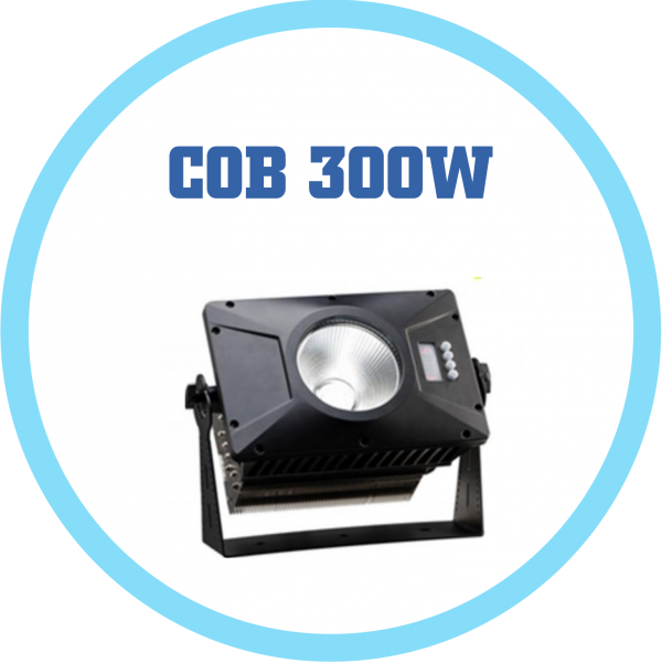 COB 300W防水投光燈