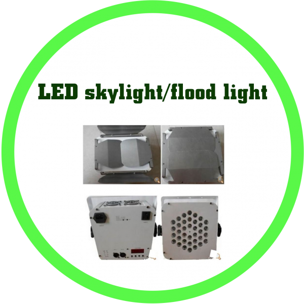 LED天幕燈/泛光燈