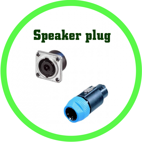 Speaker plug